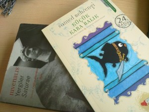 Samed Behrengi ve Satura