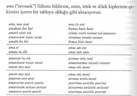 Leonardo Da Vinci'den